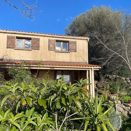 Casa vacanze Chez Tatie Serra di Ferro
